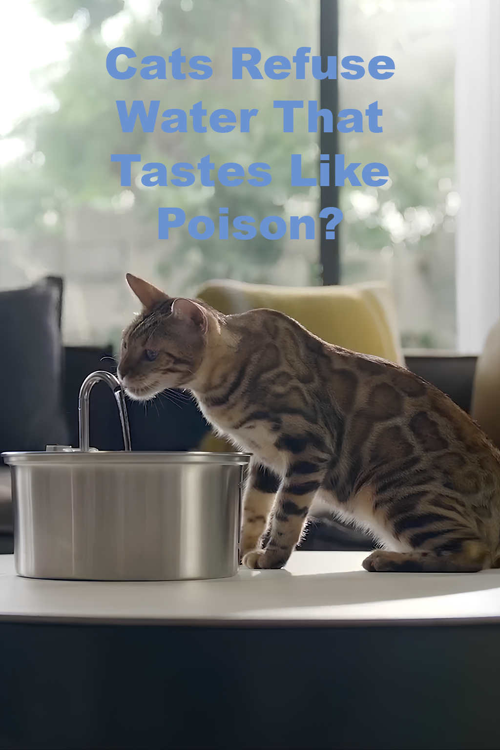 AquaPaws PureFlow™ Healthy Hydration Fountain